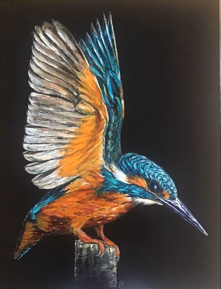 Waarmee bedekt een ijsvogel het nest?