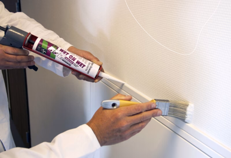 Welke verf hecht op siliconenkit?