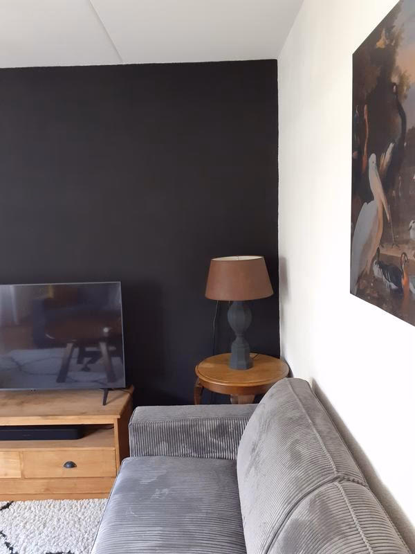 Waar gebruik je actieve kool voor?