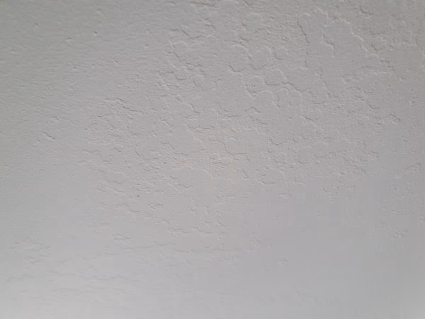 Kun je over nat pleisterwerk heen schilderen?