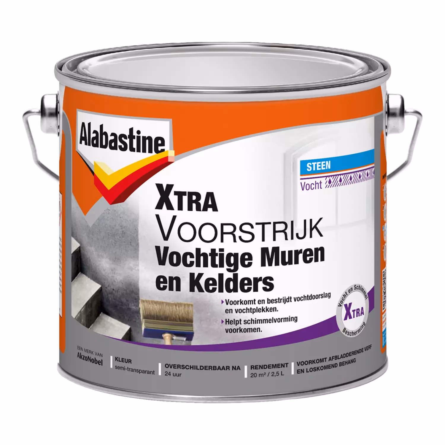 Kan ik over schimmel in de kelder heen schilderen?