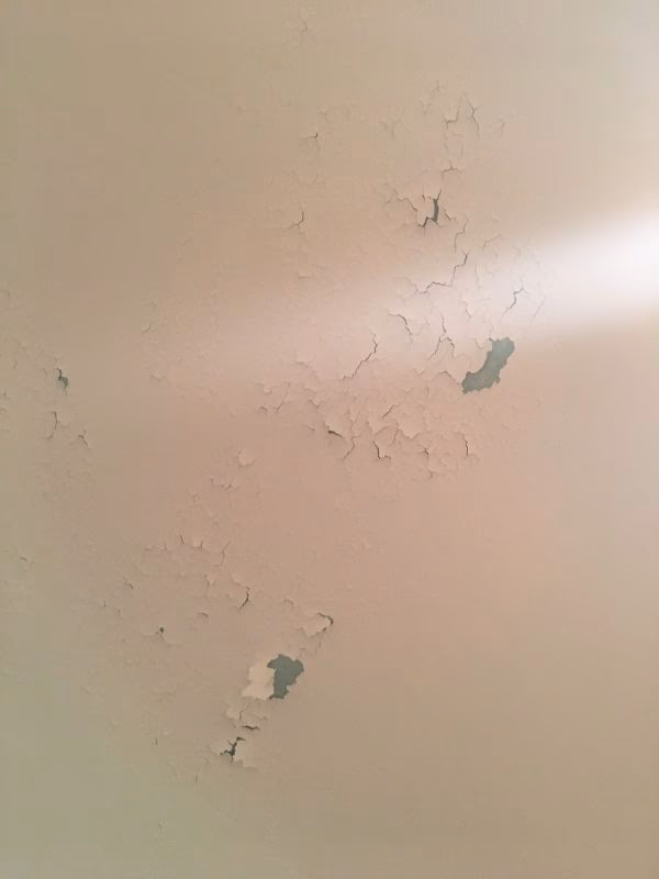 Waarom bladdert de verf van het plafond van mijn badkamer af?