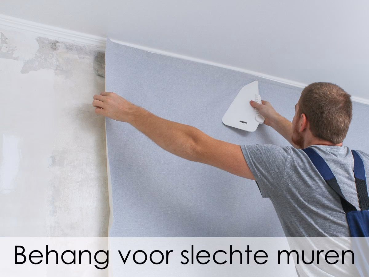 Wat kan over glasvezelbehang?
