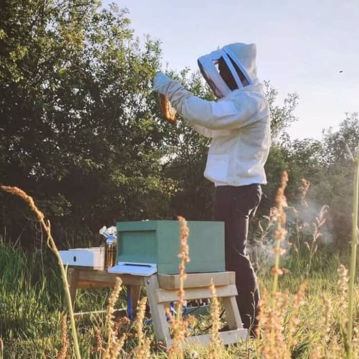 Kun je de binnenkant van een bijenkast schilderen?