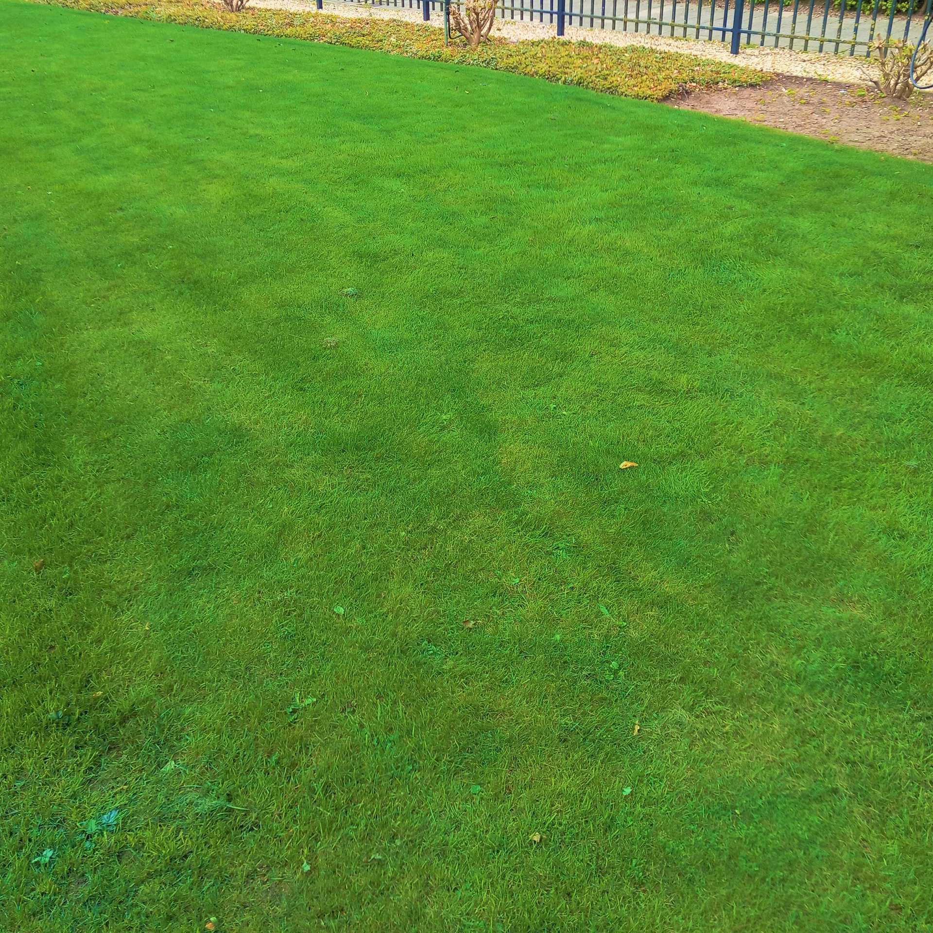 Is grasverf biologisch afbreekbaar?