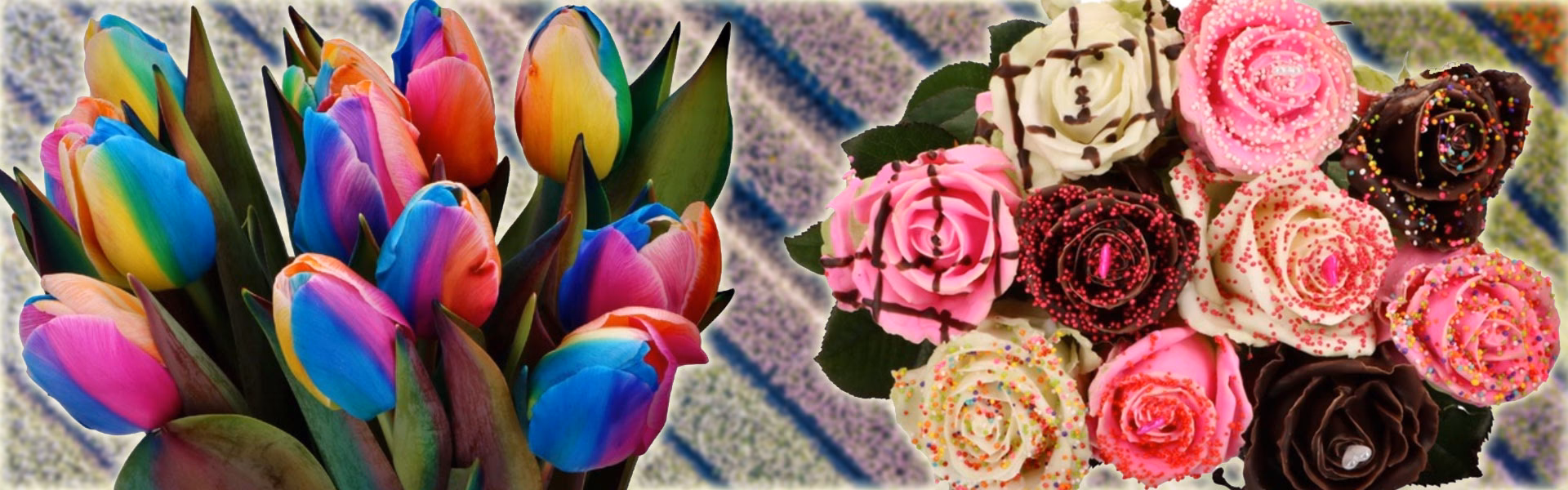 Welke verf kun je gebruiken op echte bloemen?