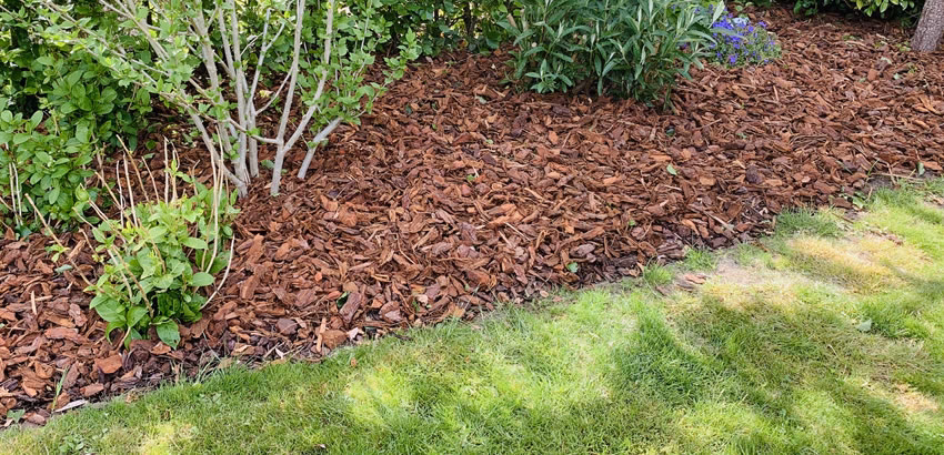 Waar kun je boomschors kopen?