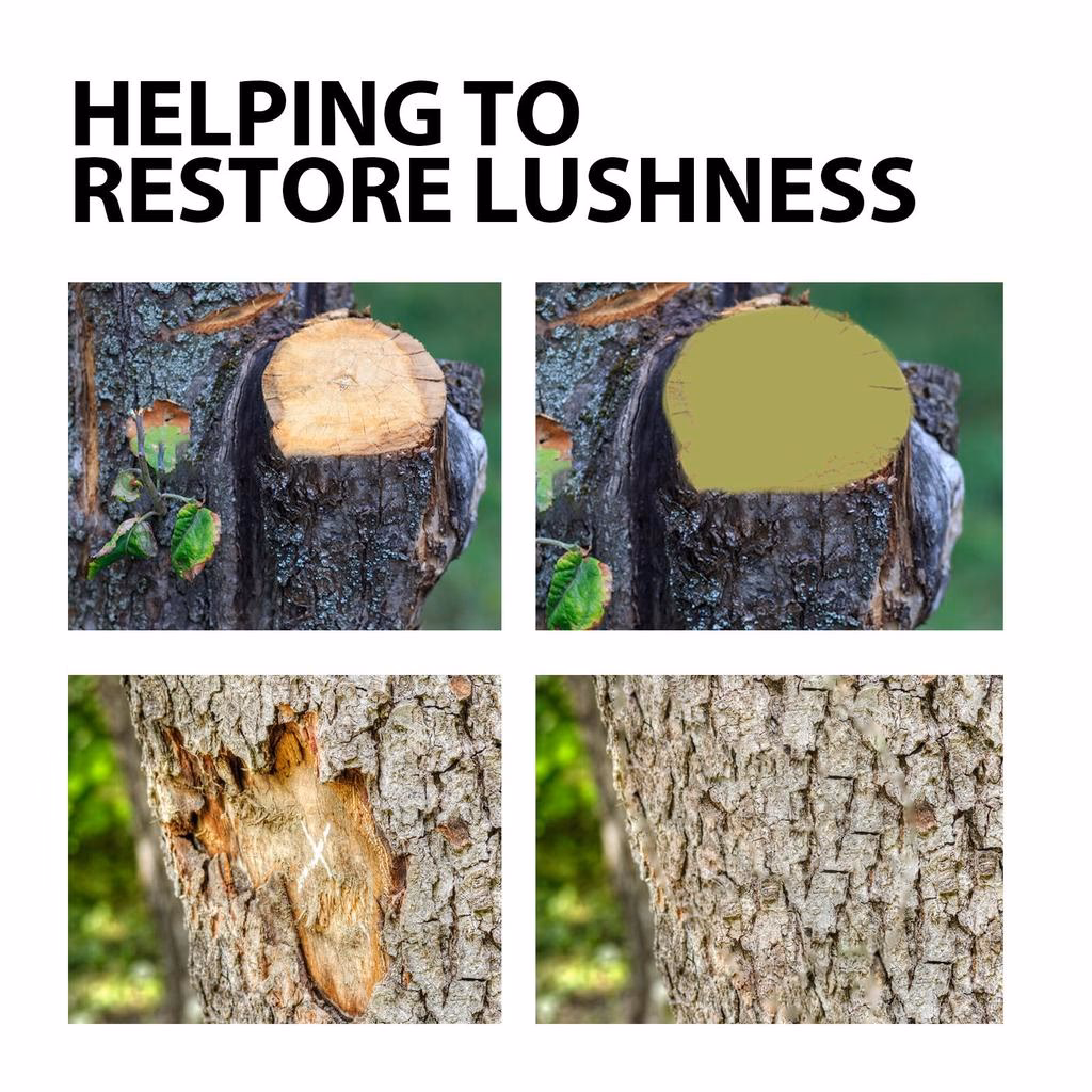 Welke soort verf voor boomwonden?