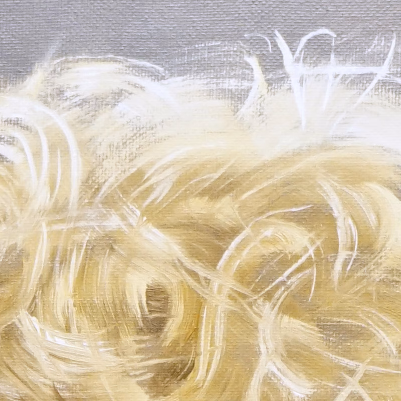 Wat is de droge kwasttechniek?