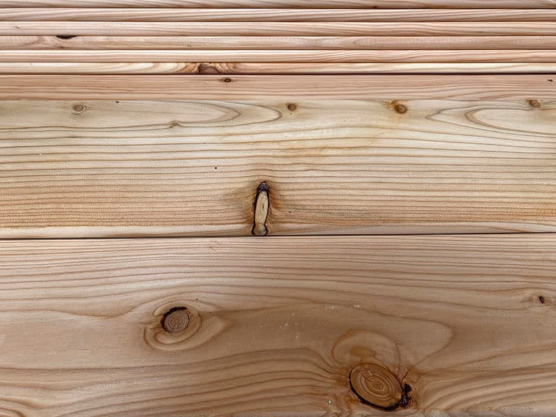 Wat is het beste puzzelwoordenboek?