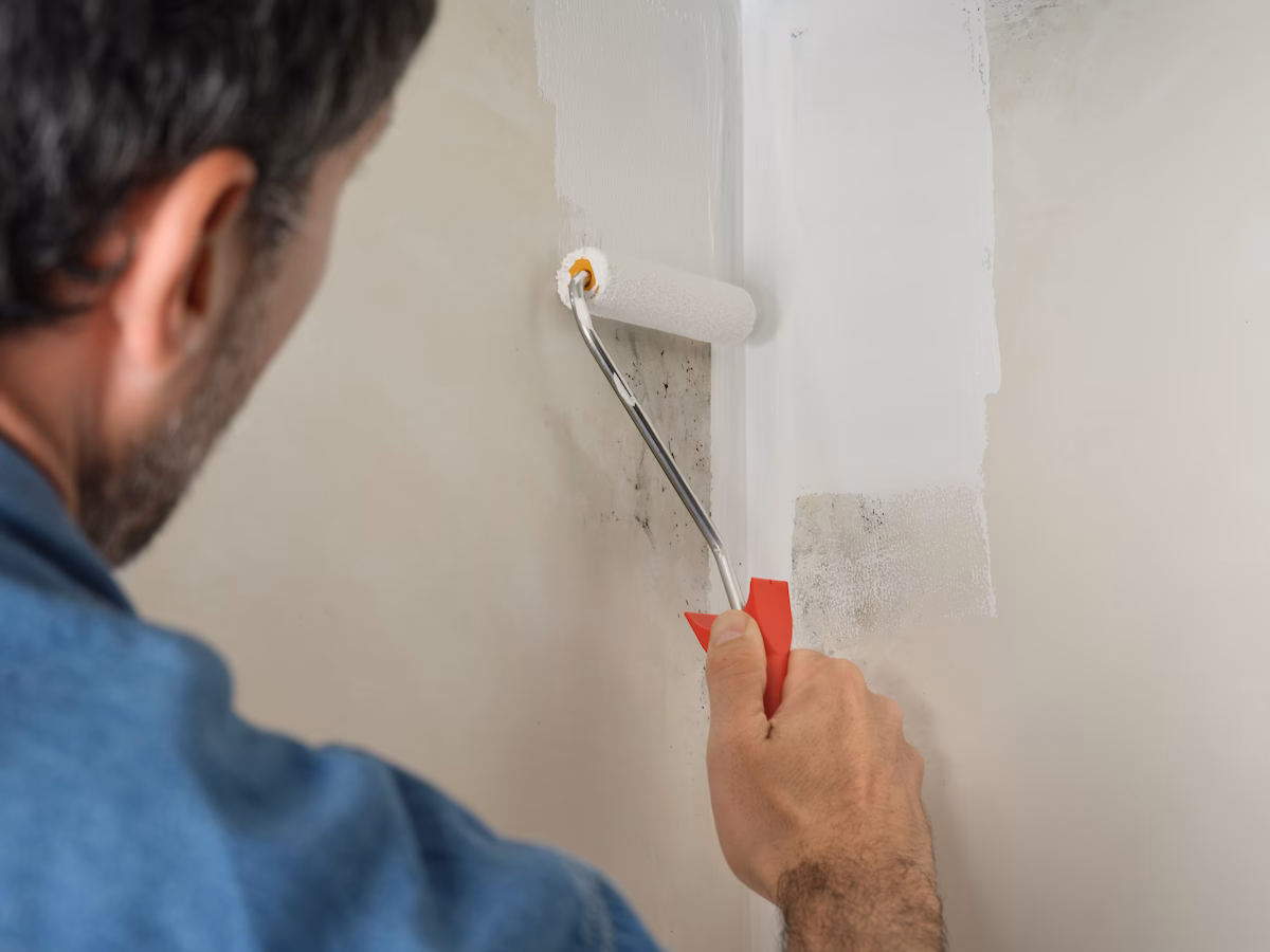 Hoe kan ik een muur egaliseren zonder te stucen?