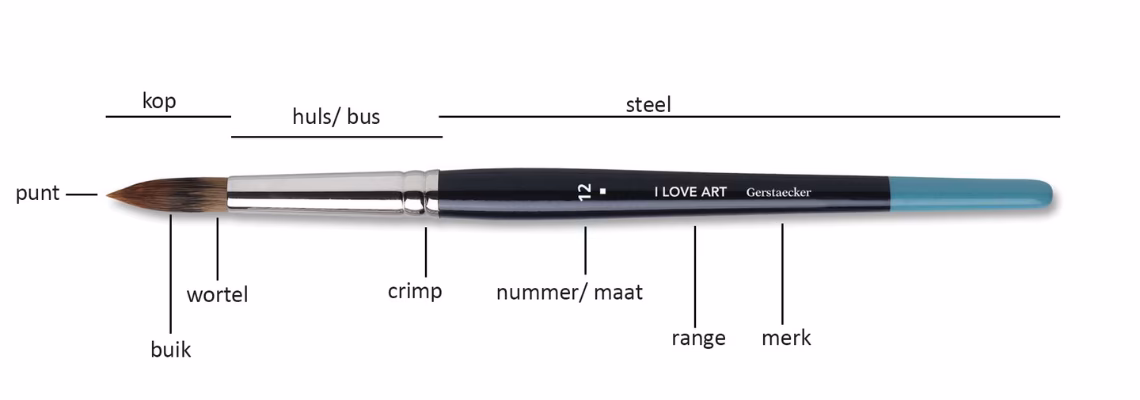 Hoe heet het uiteinde van een kwast?