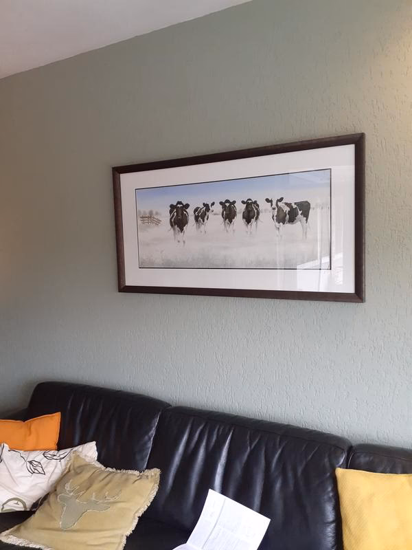 Welke kleur combineren met eucalyptus?