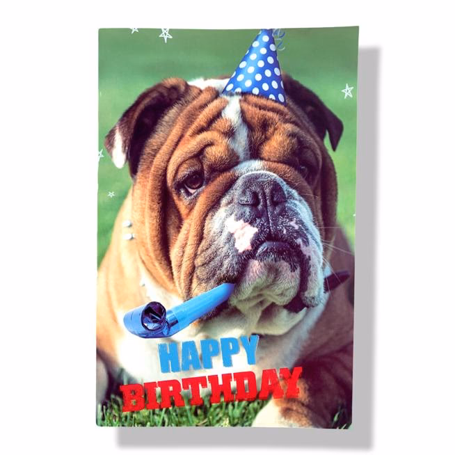 Hoe feliciteer je een hond?