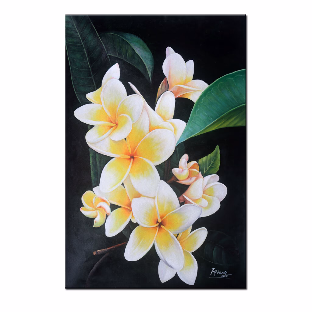 Wat is Frangipani bloem?