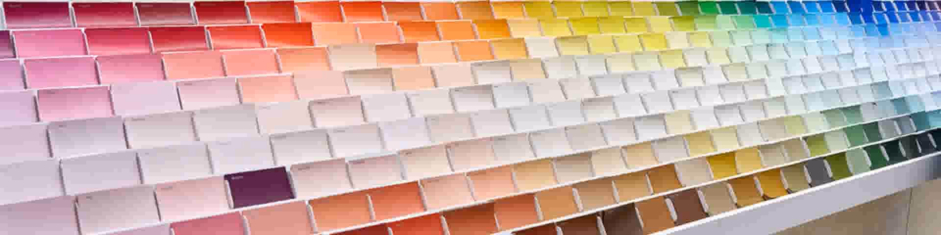 Wat is de kleur van een gamma-uil?