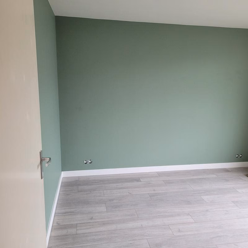 Wat is de kleur jadegroen?