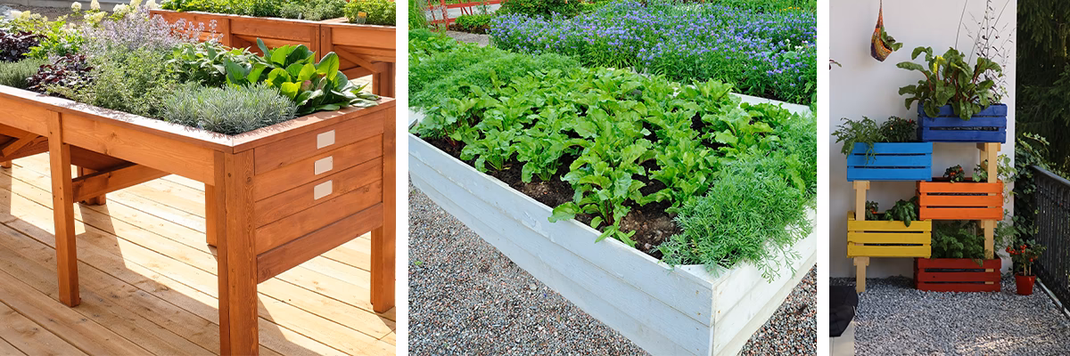 Welke verf wordt gebruikt voor het schilderen van groenten?