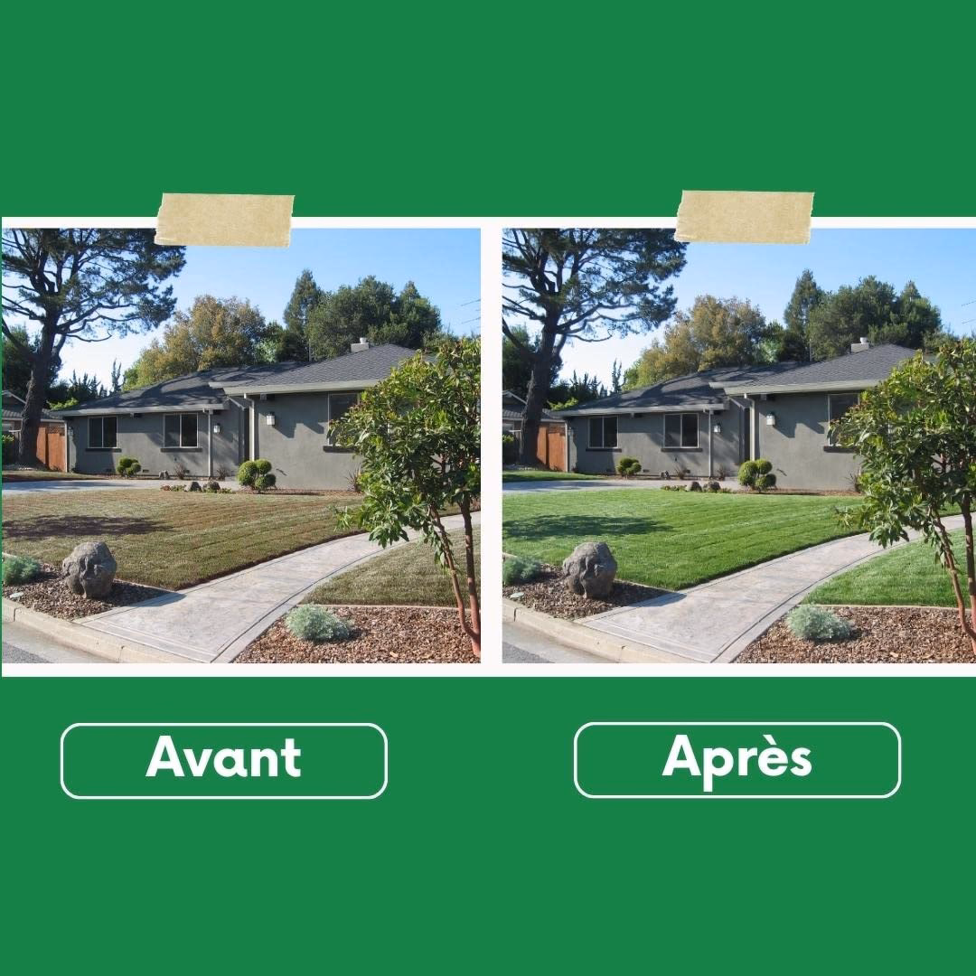 Welke planten geven kleurstof?