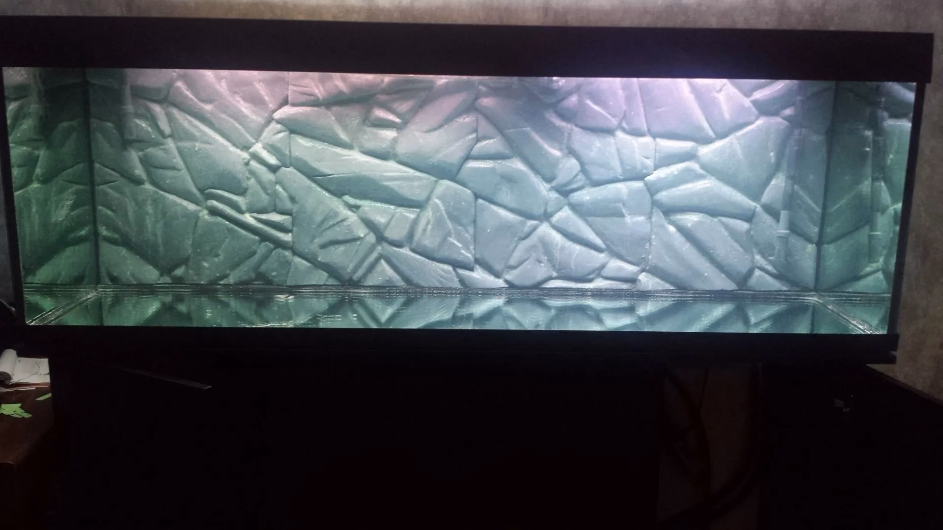 Moet je de achterkant van je aquarium verven?