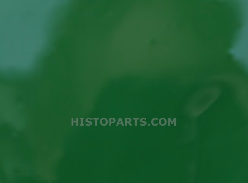 Wat is de groene verfcode van John Deere?