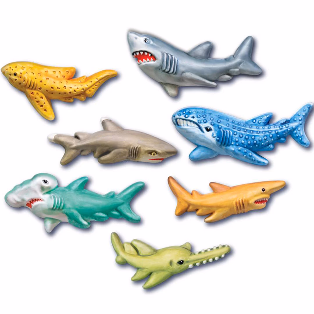 Waar komen haaien voor?