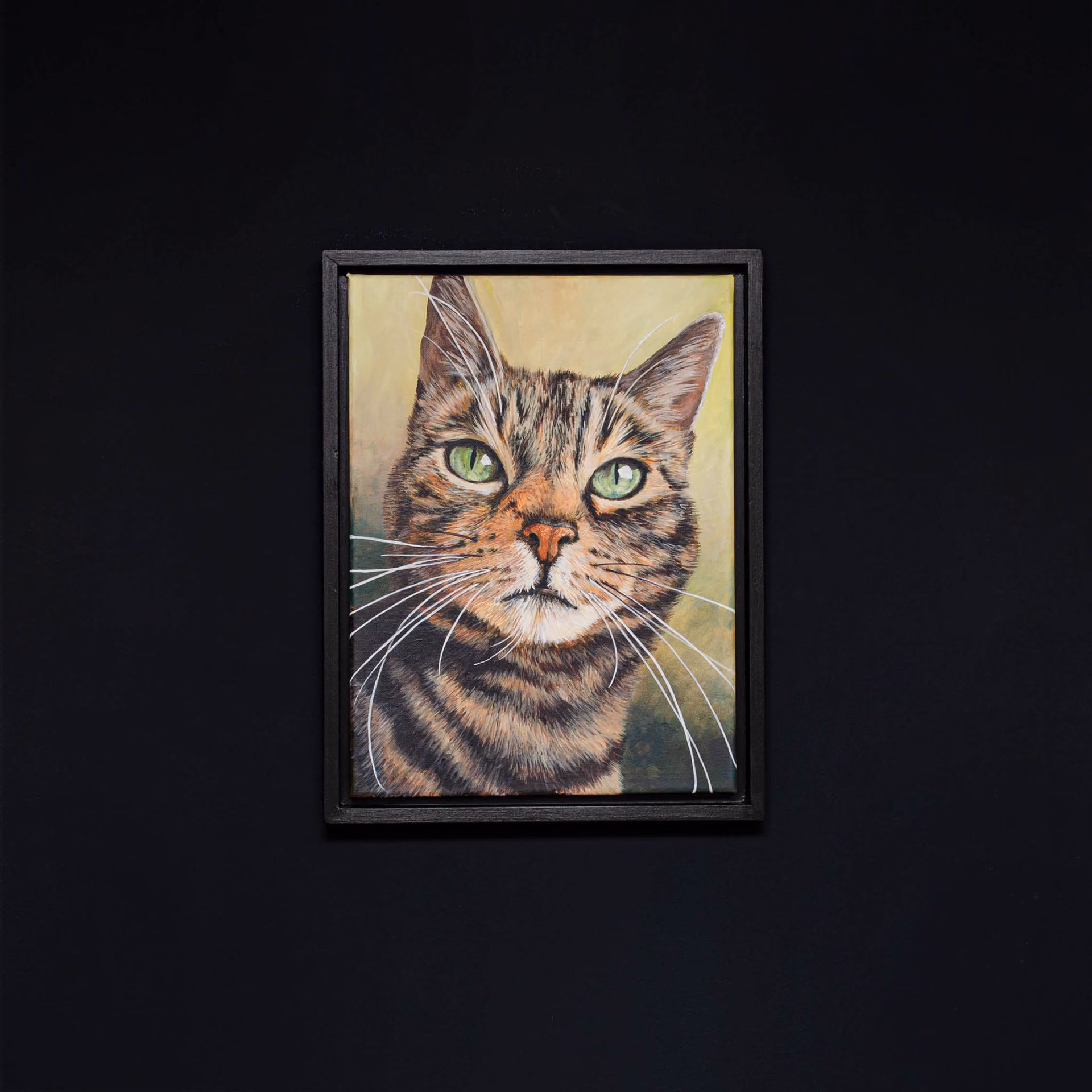 Hoe krijg ik acrylverf van mijn kat?