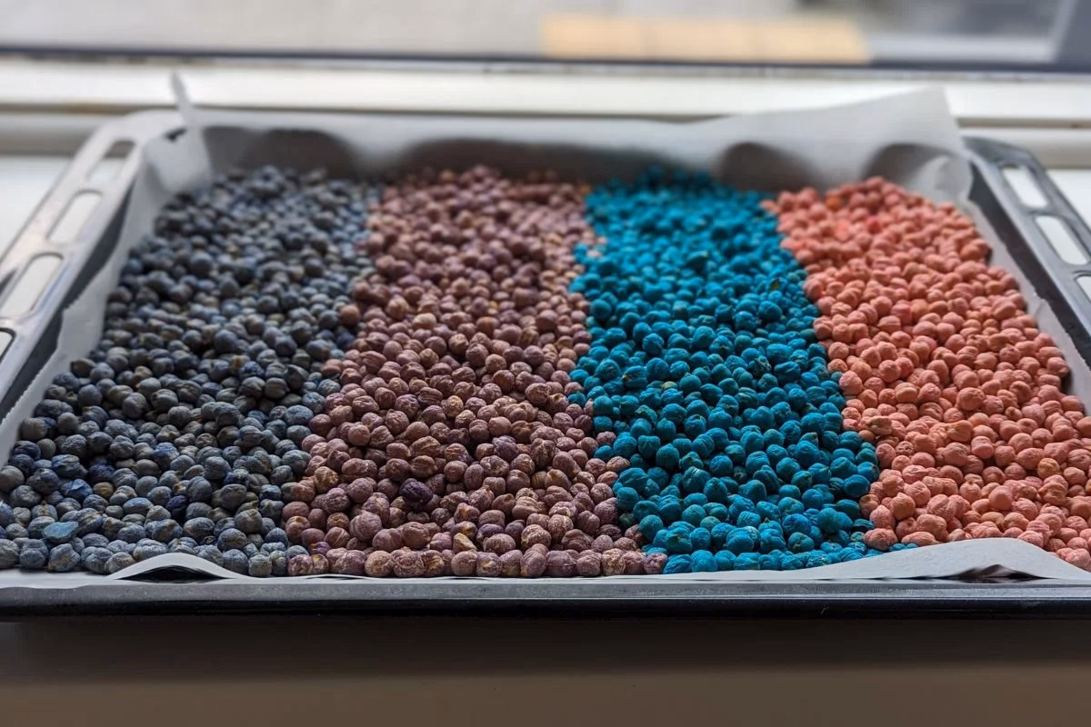 Hoe kleur je kikkererwten?