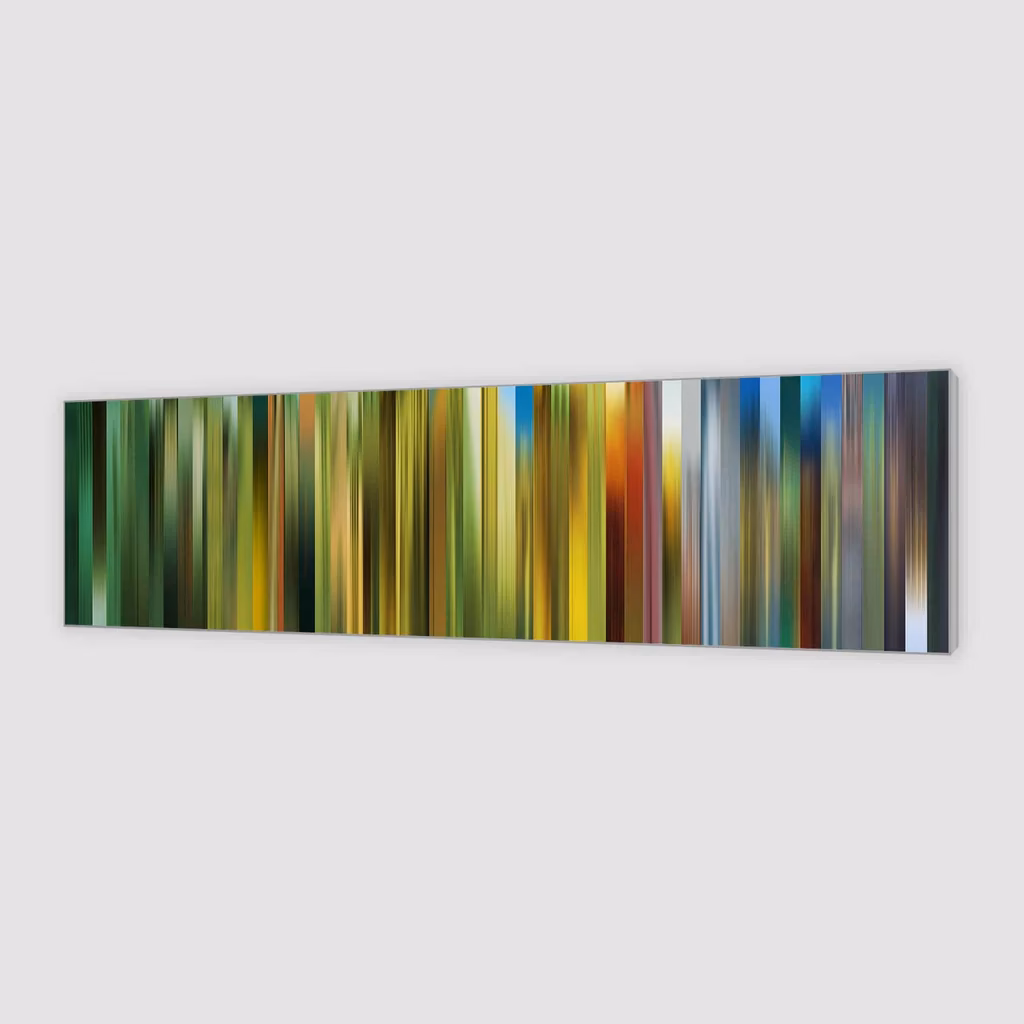 Wat is de kleur van Den Haag?