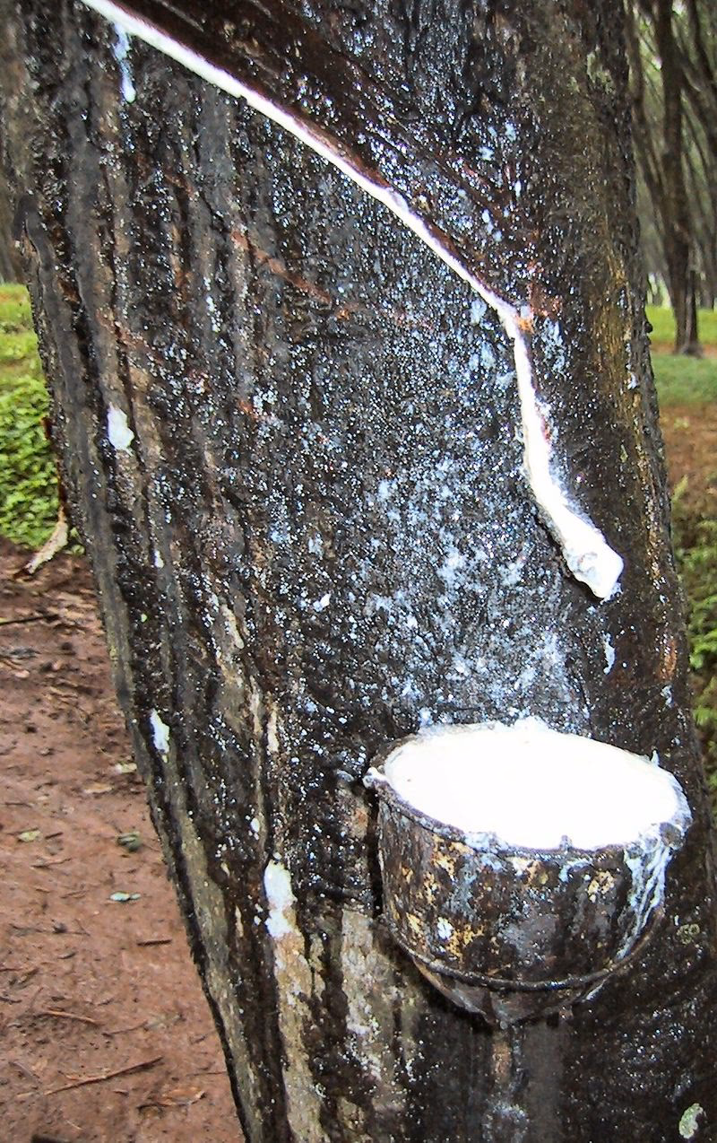 Bevat latex eiwitten?