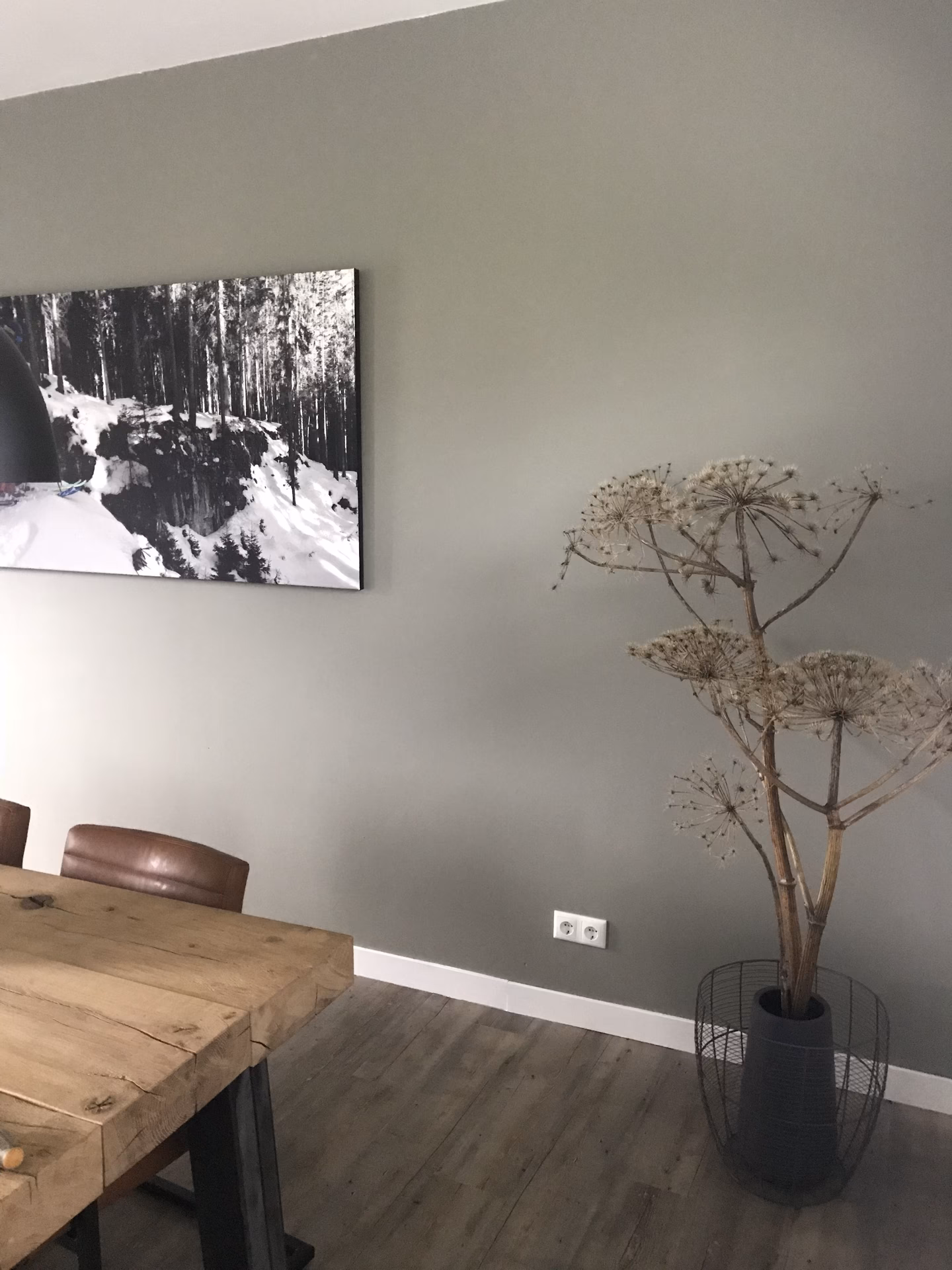 Passen groene en grijze muren bij elkaar?