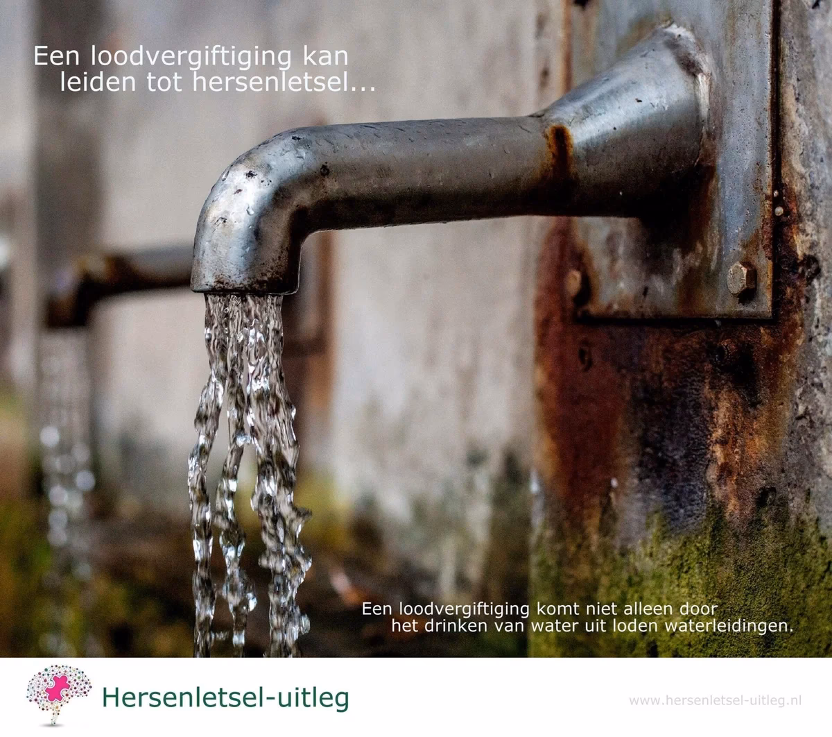 Hoe herken je loodvergiftiging?