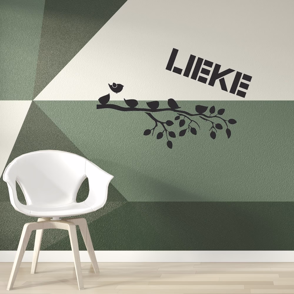 Welk type verf moet ik gebruiken voor een muursjabloon?