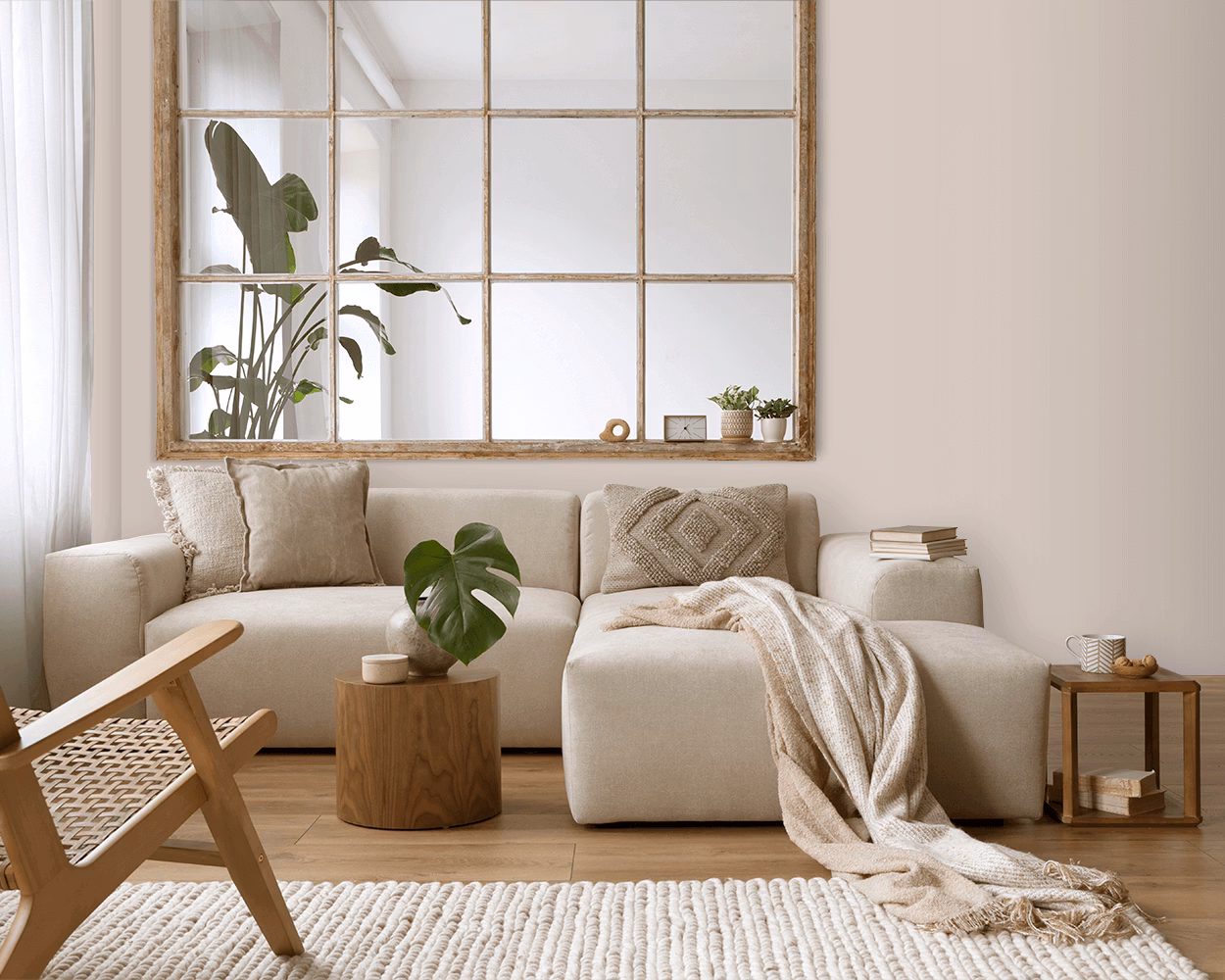 Wat is de champignonziekte?