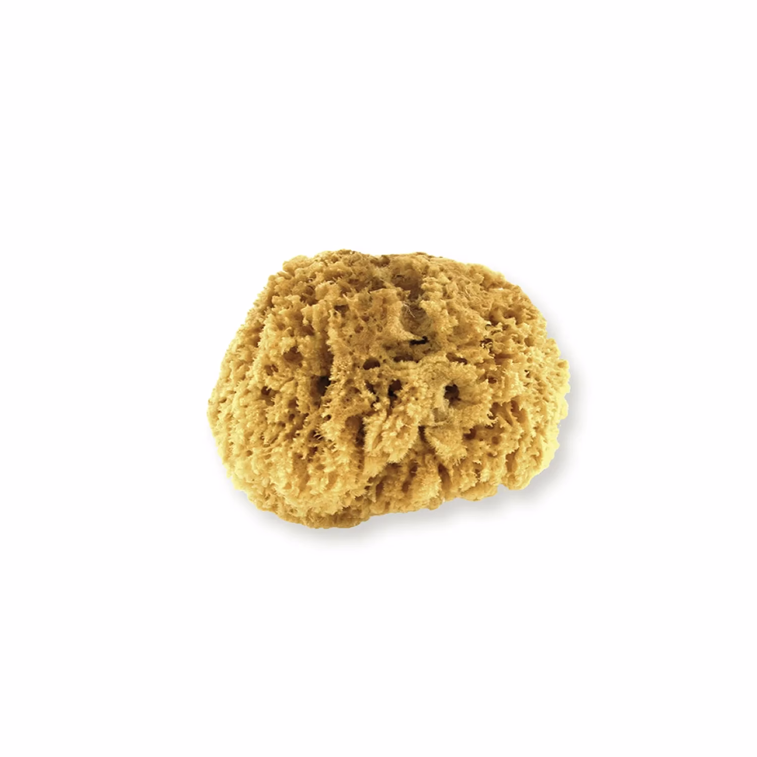 Hoe gebruik je een natuurspons?