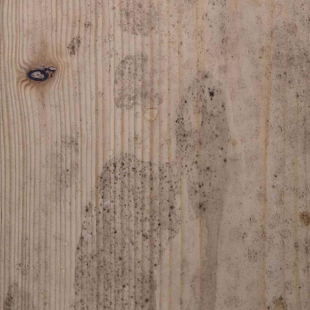 Hoe kan ik rotte plekken in hout repareren?