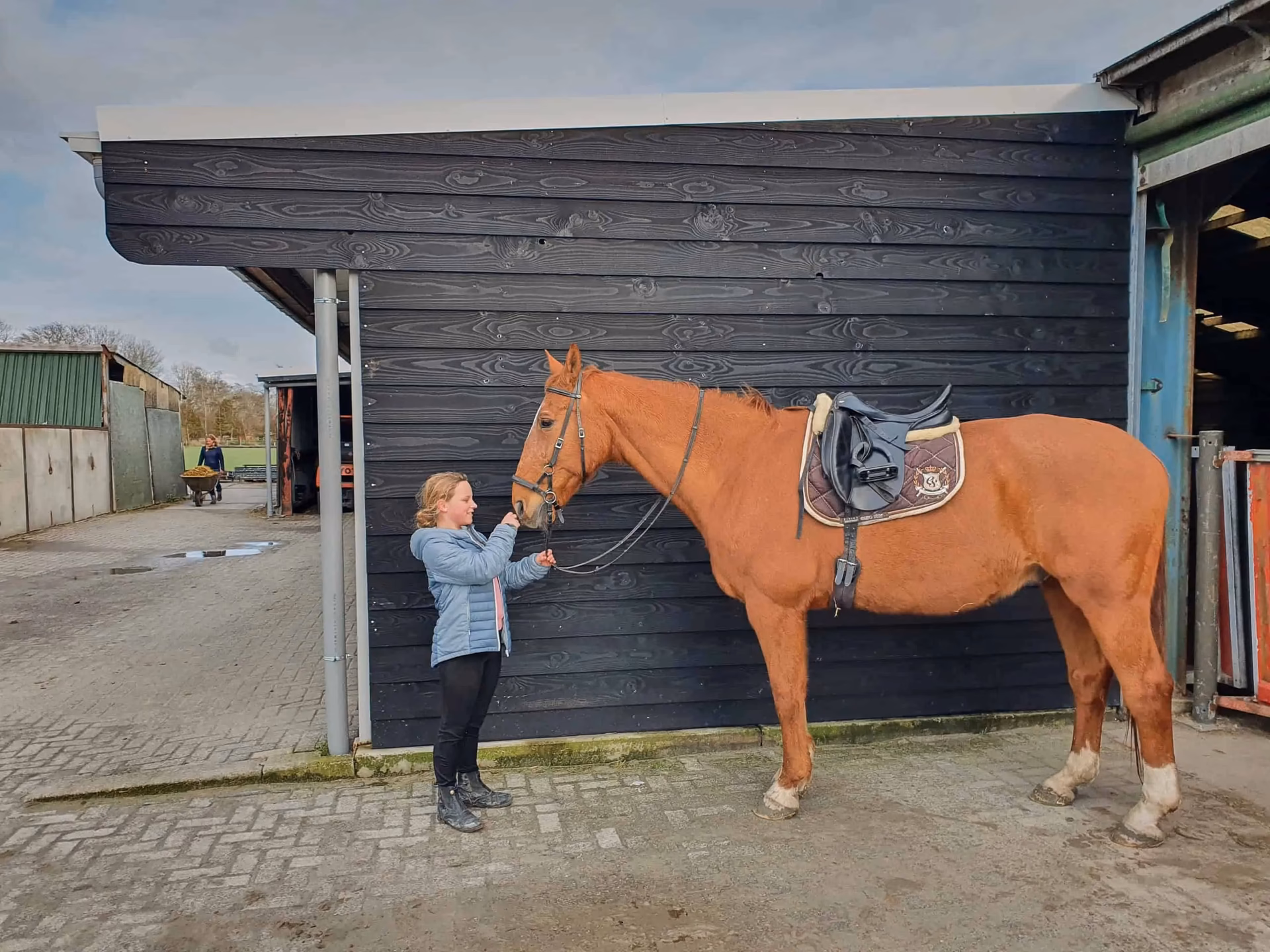 Welke verf kan je op paarden gebruiken?