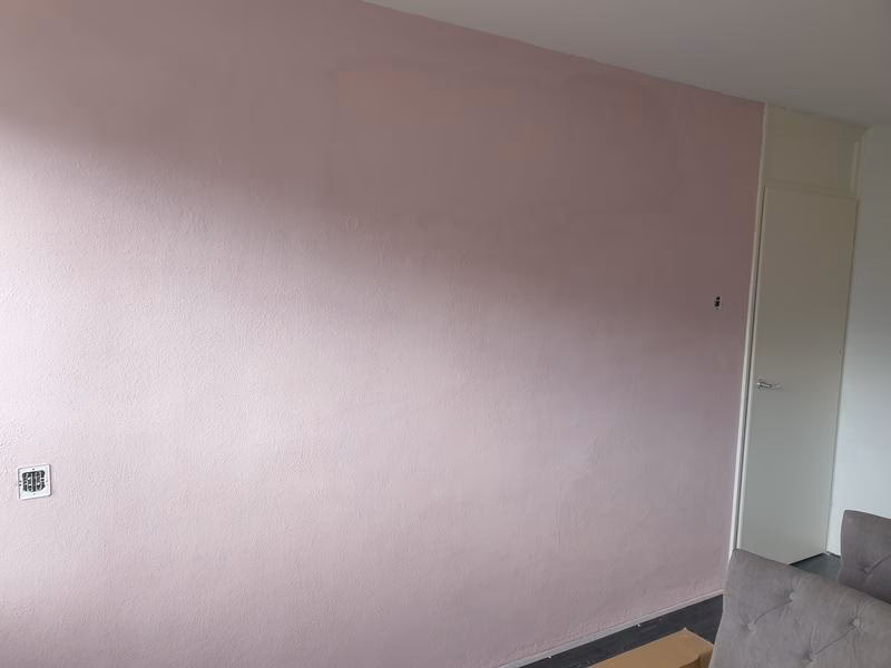 Waarom geen pioenrozen?