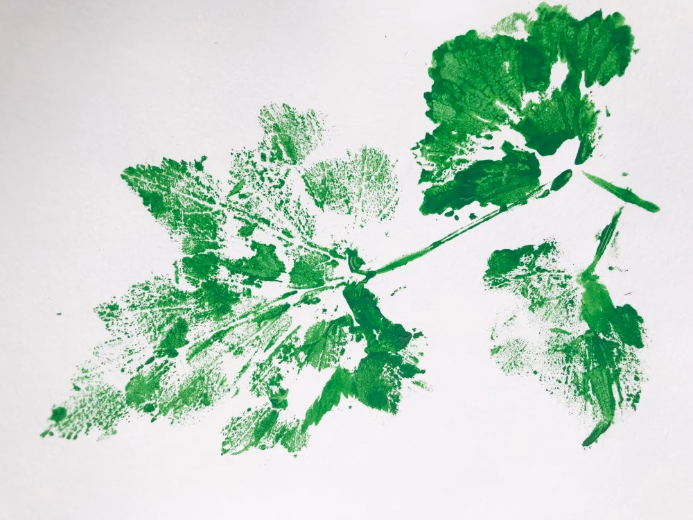 Wat is een alternatief voor gelli plate?