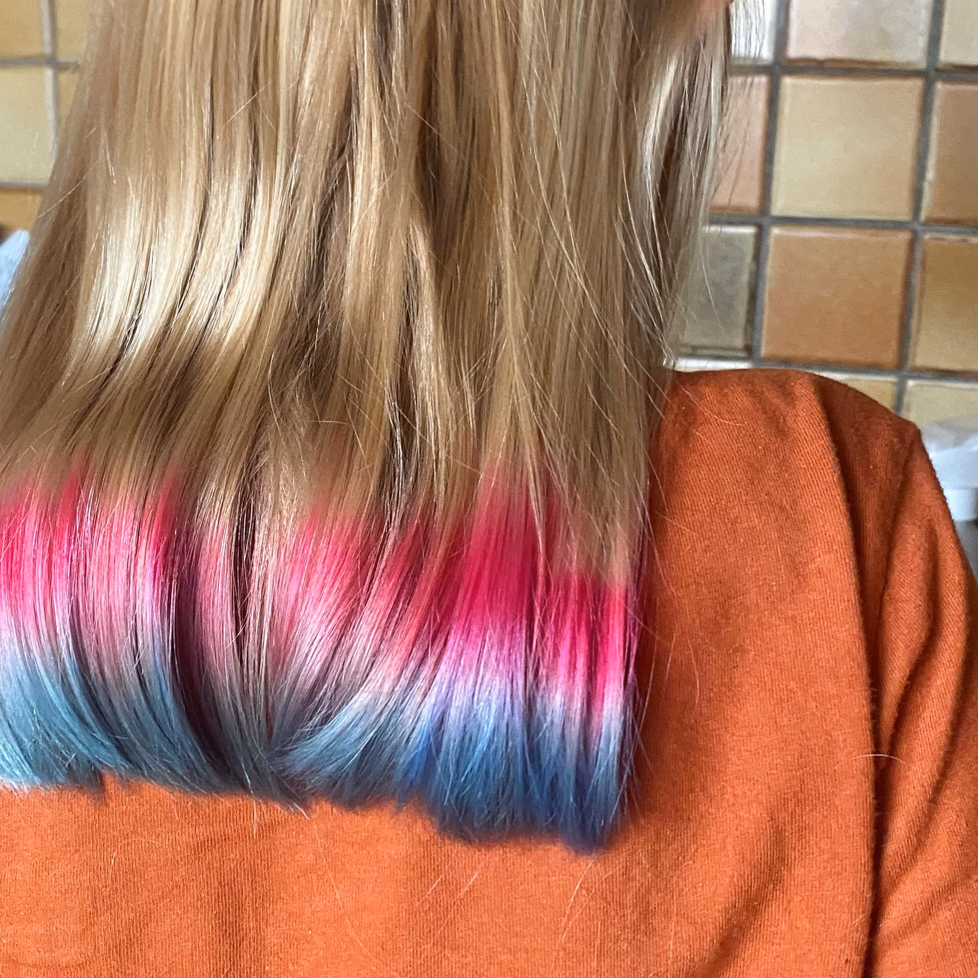 Hoe maak je een regenboog in je haar?