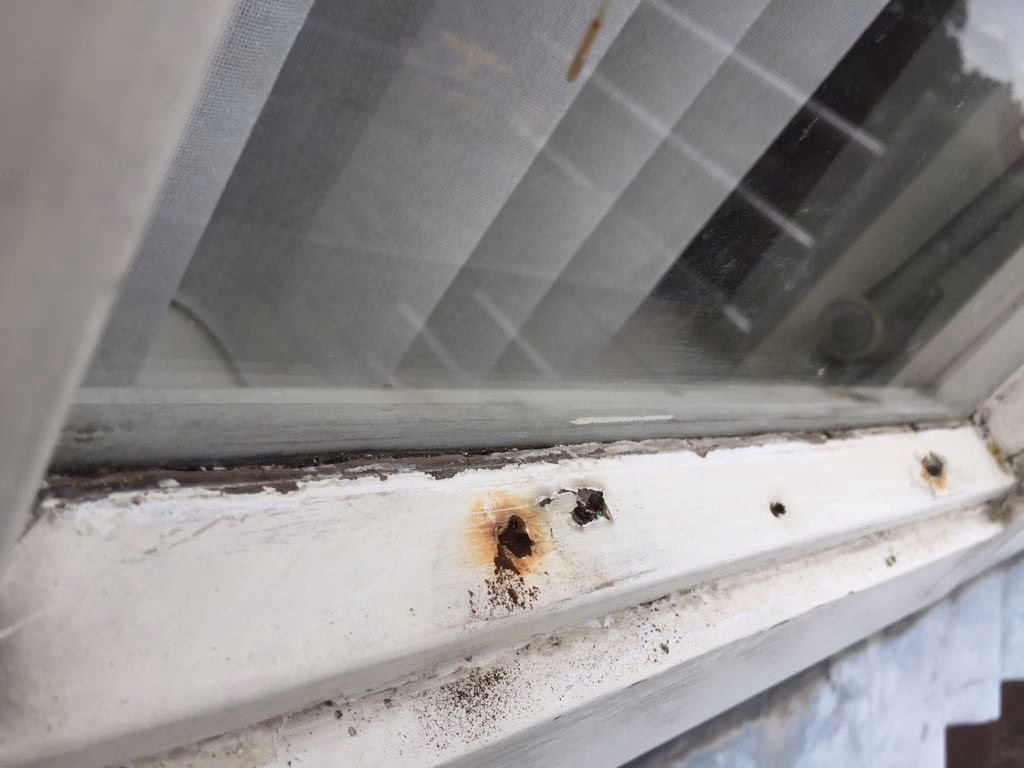 Hoe verwijder ik roestvlekken van verf?