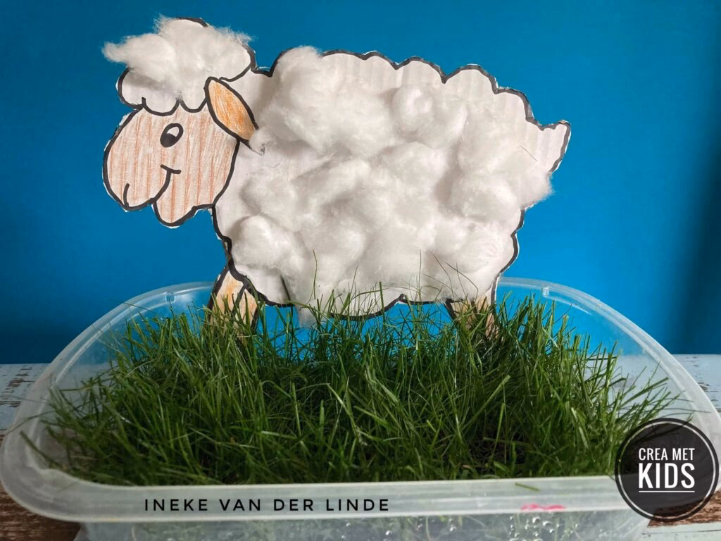 Hoe populair is Wooloo?