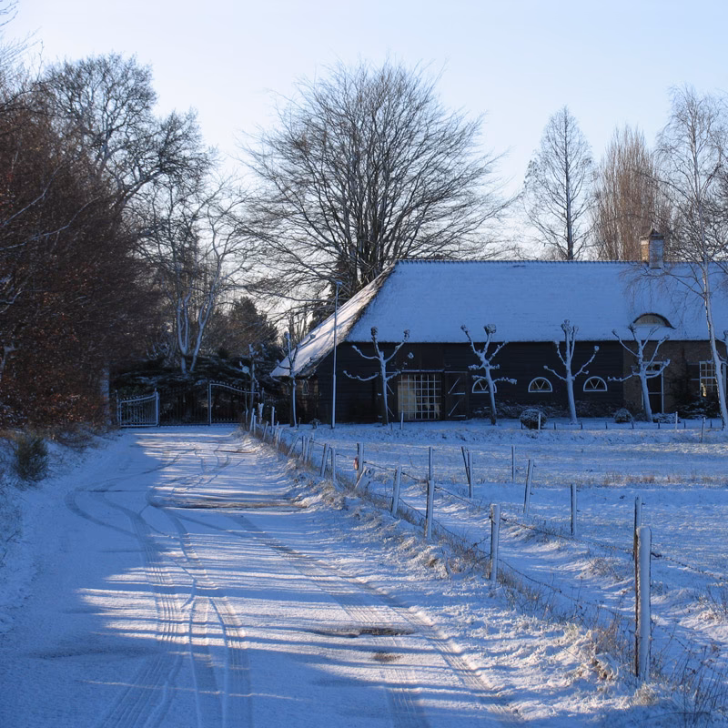 Welke kleur is een schaduw?