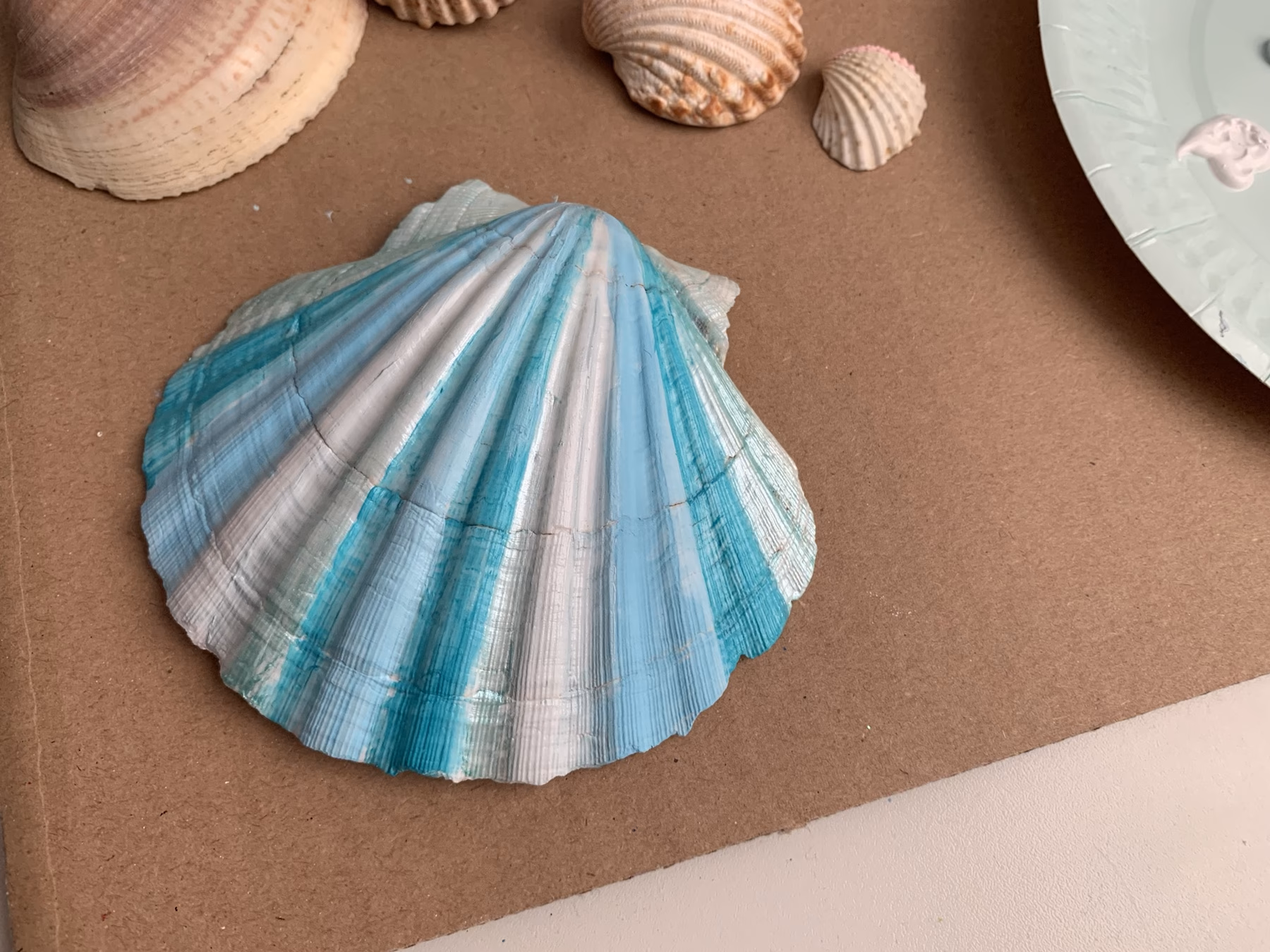 Hoe kan ik schelpen beschilderen?