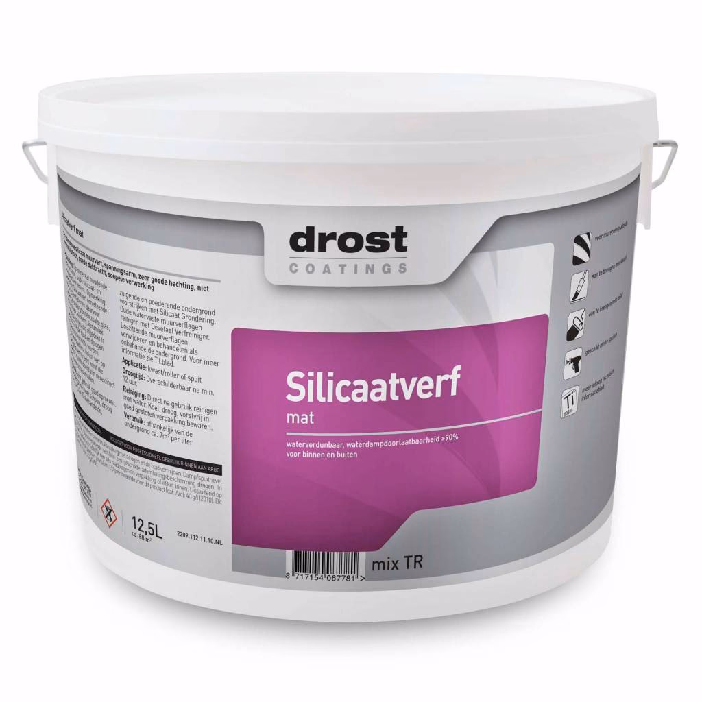 Wat is de functie van silicaat in verf?