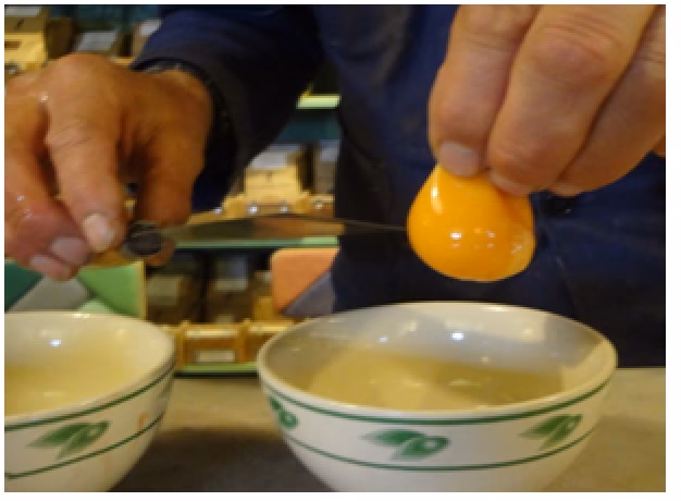 Wat is het verschil tussen tempera en olieverf?