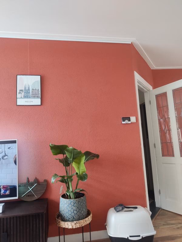Welke kleur past bij terracotta roze?
