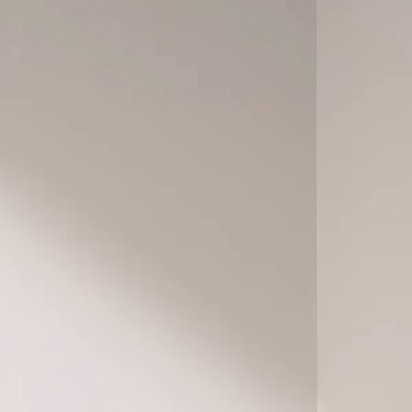 Welke kleur heeft Bone Farrow and Ball?