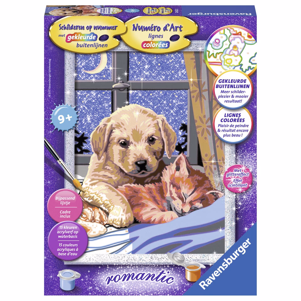 Hoe kan ik schilderen op nummer?