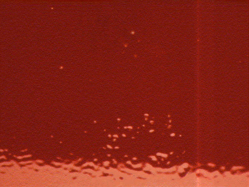 Hoe kom ik van fisheye-vlekken in verf af?